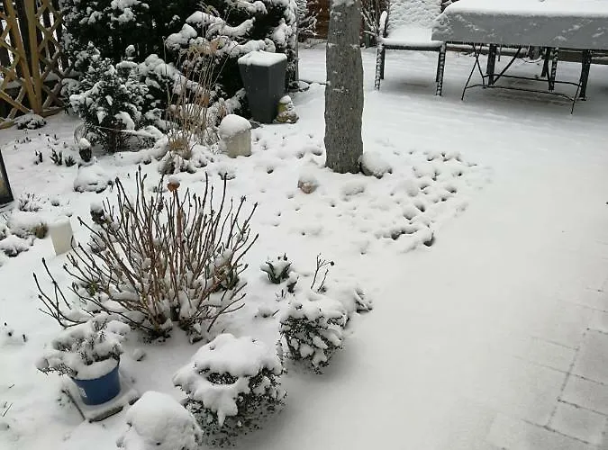 Pensión Harmonie Érfurt