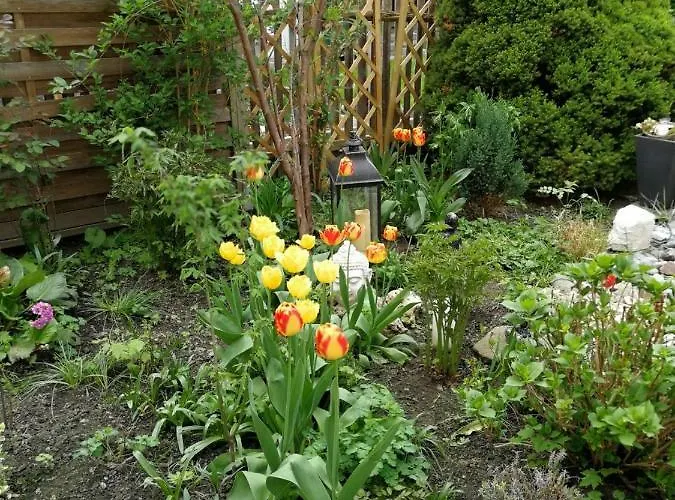 Harmonie Pensión 3*