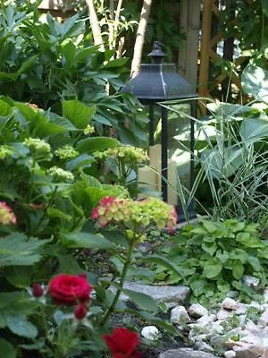 Harmonie Casa de hóspedes 3*